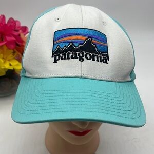 Patagonia Teal Trucker Hat Adjustable. HT4351C